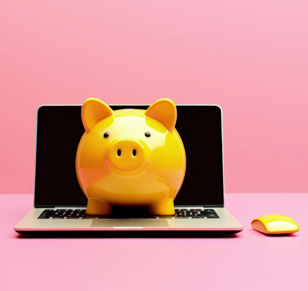 Website Development Cost -  Piggy Bank