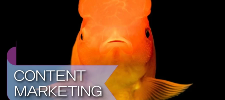 Marketing in the Attention Recession: Only 47 Seconds to Make Your Brand Stick