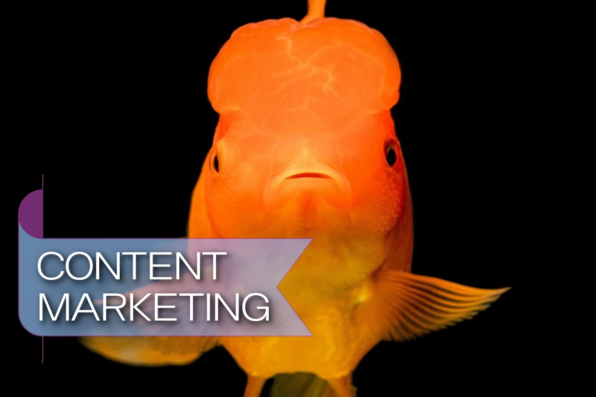 Attention Recession Marketing: Goldfish Level Attention Span