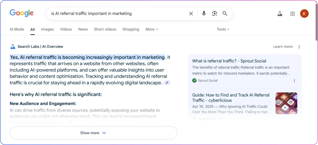 AI Referral Traffic Source: AI Overview in Google Example