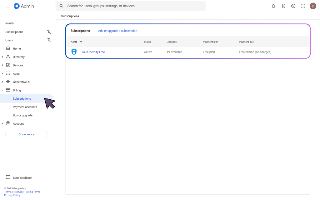 Google Workspace Active Subscriptions