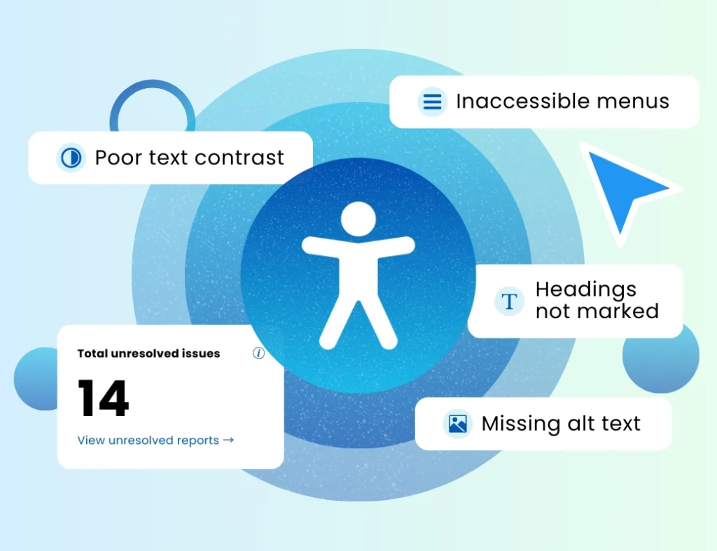 Examples of website accessibilty isseus