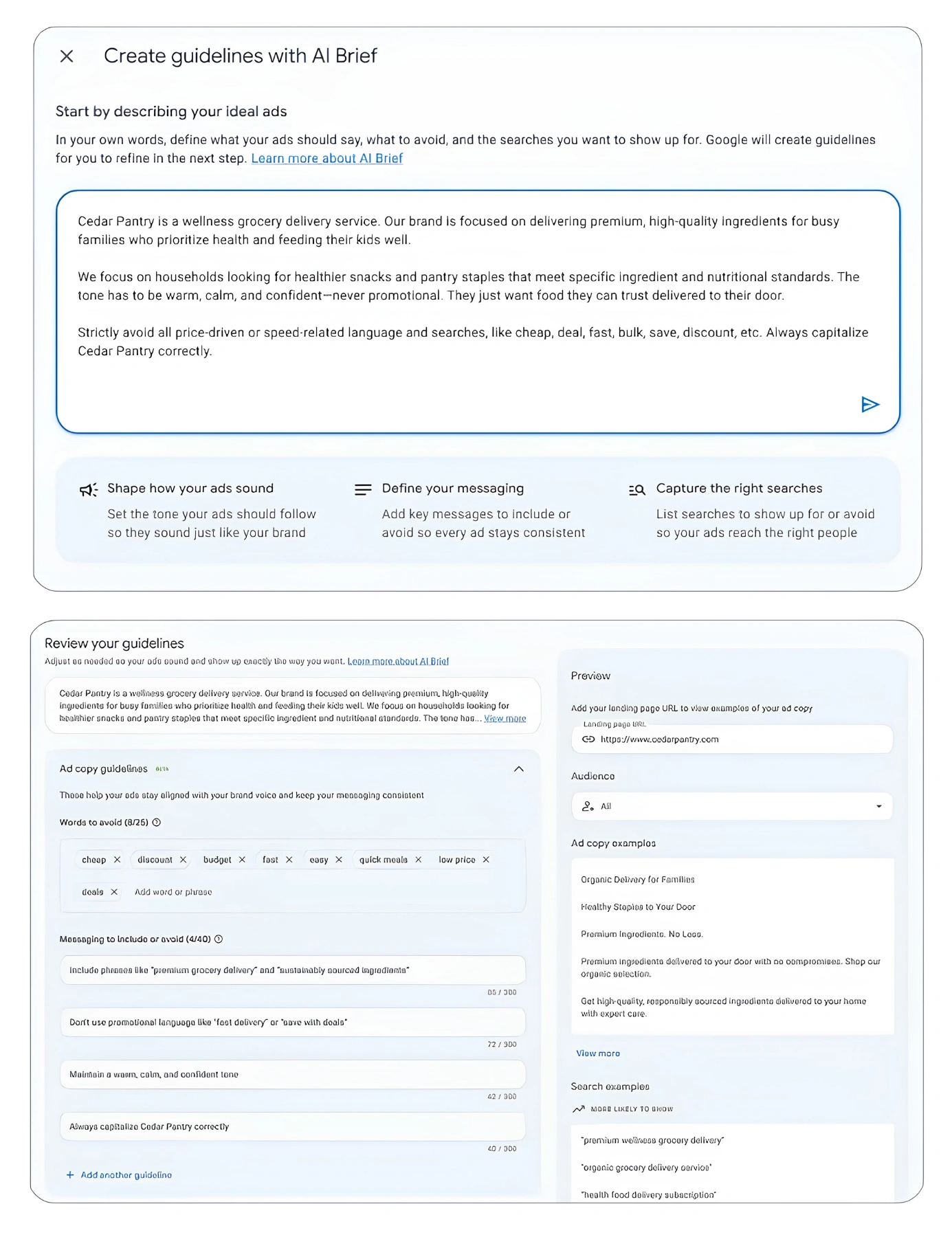 Example of Using Google's AI Brief